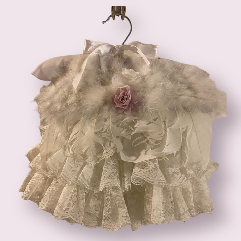 Baby Wings and Skirt